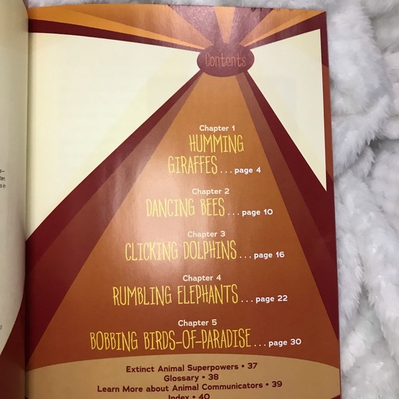 Dancing Bees learning book - Picture 5 of 5